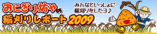 ɂV̈背|[g2009
