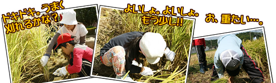 hLhLB܂邩ȁH悢B悢B!!AdcB